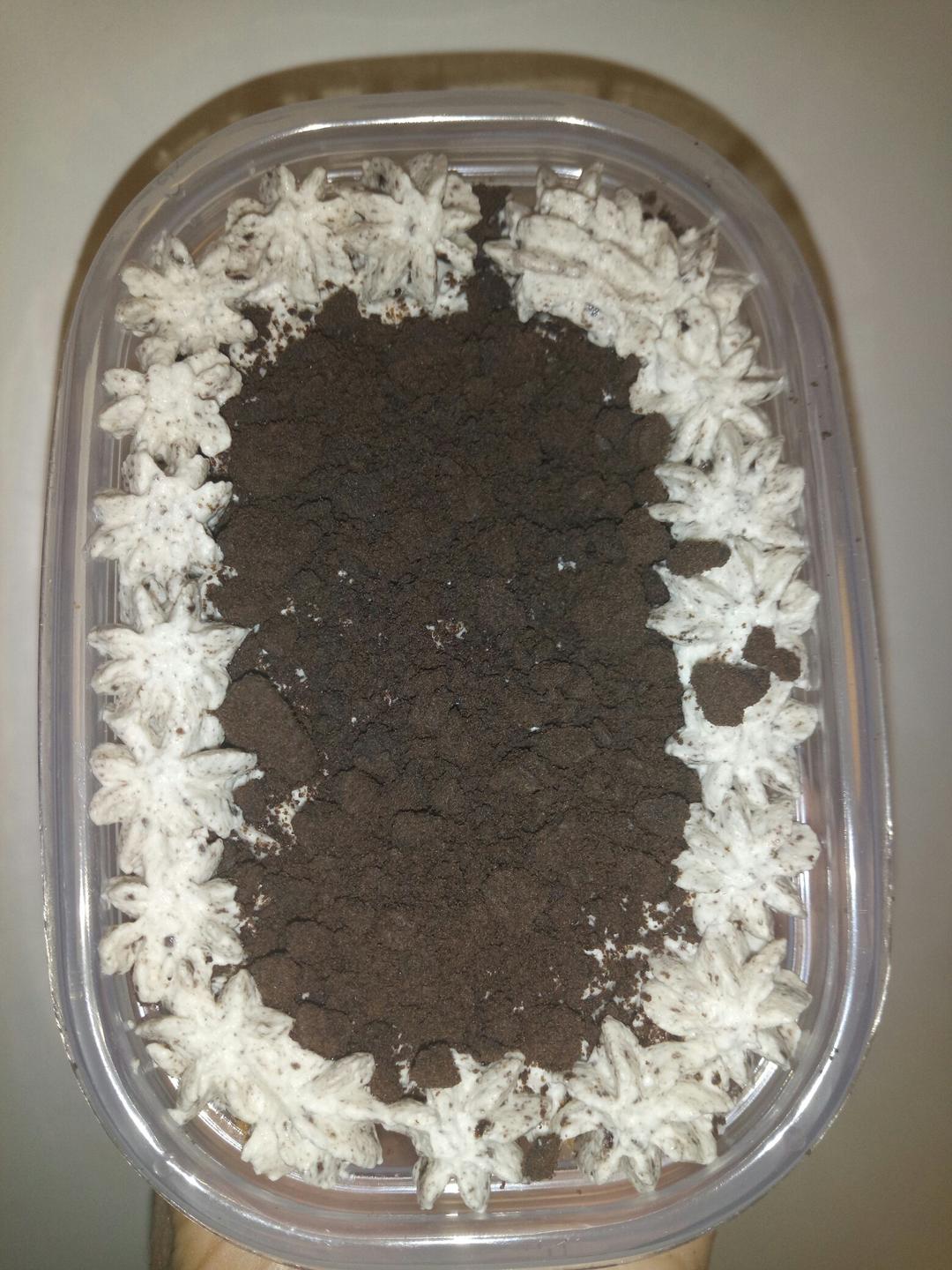 好吃到流泪的奥利奥咸奶油盒子蛋糕