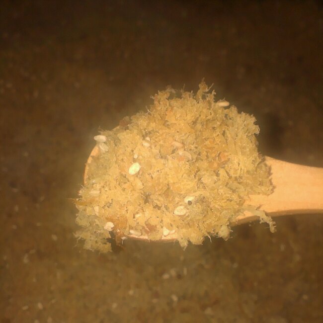 午餐•2014年3月1日