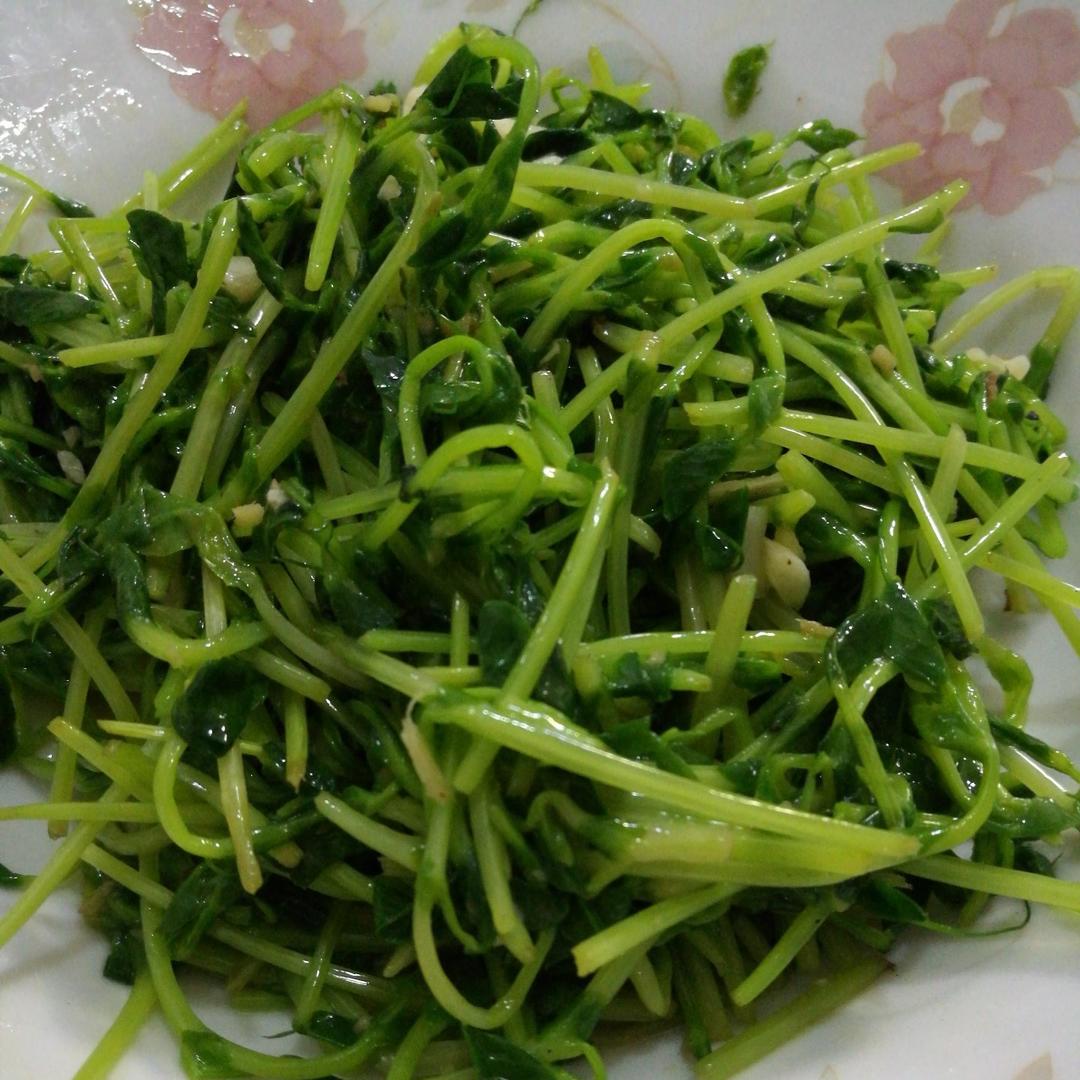 蒜香豆苗