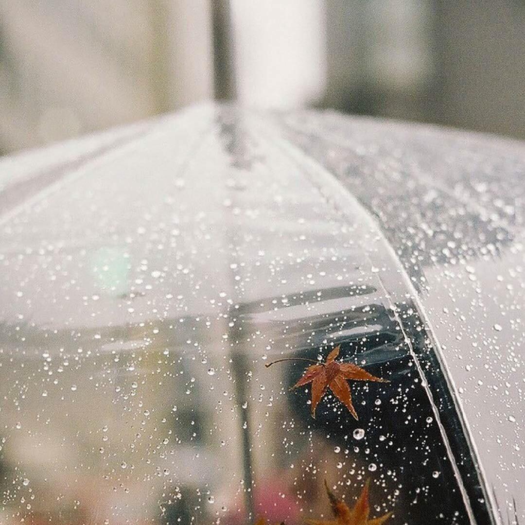 太阳雨-150