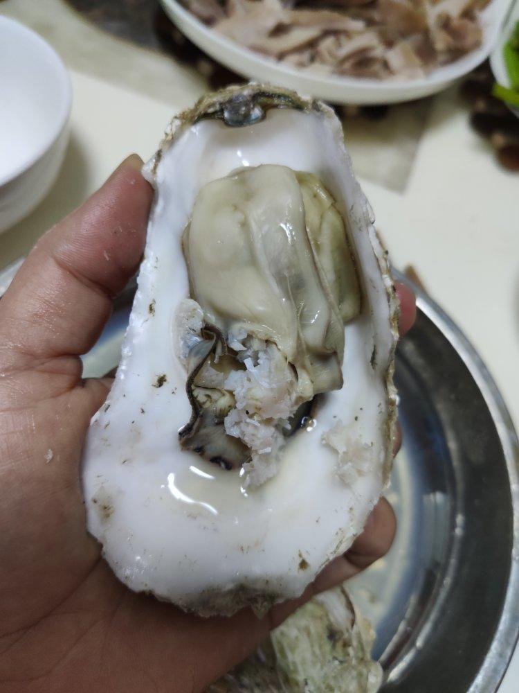鲜美无比清蒸生蚝，喜欢海鲜的你千万别错过
