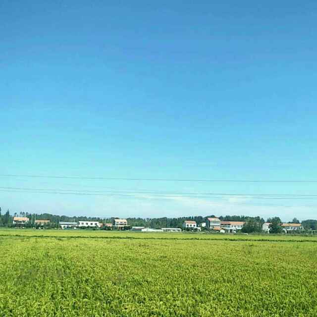 手机用户9774_q64t