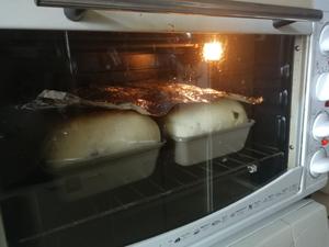 葡萄干小槽子面包（马迭尔风味）的做法 步骤8