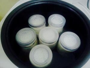 自制酸奶（泡沫箱/电饭锅/烤箱/面包机版）的做法 步骤9
