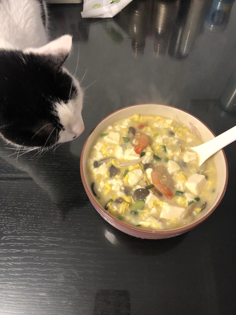 鲜美蘑菇豆腐汤