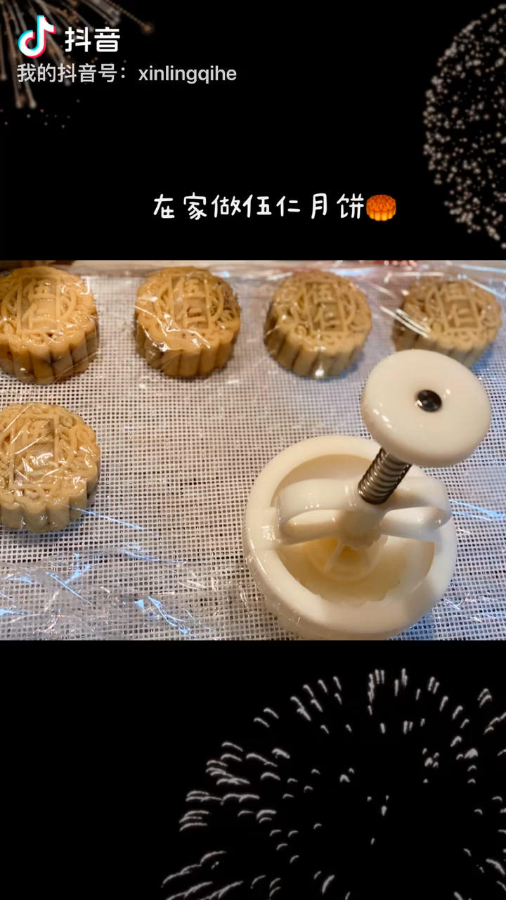 蜂蜜版广式伍仁月饼