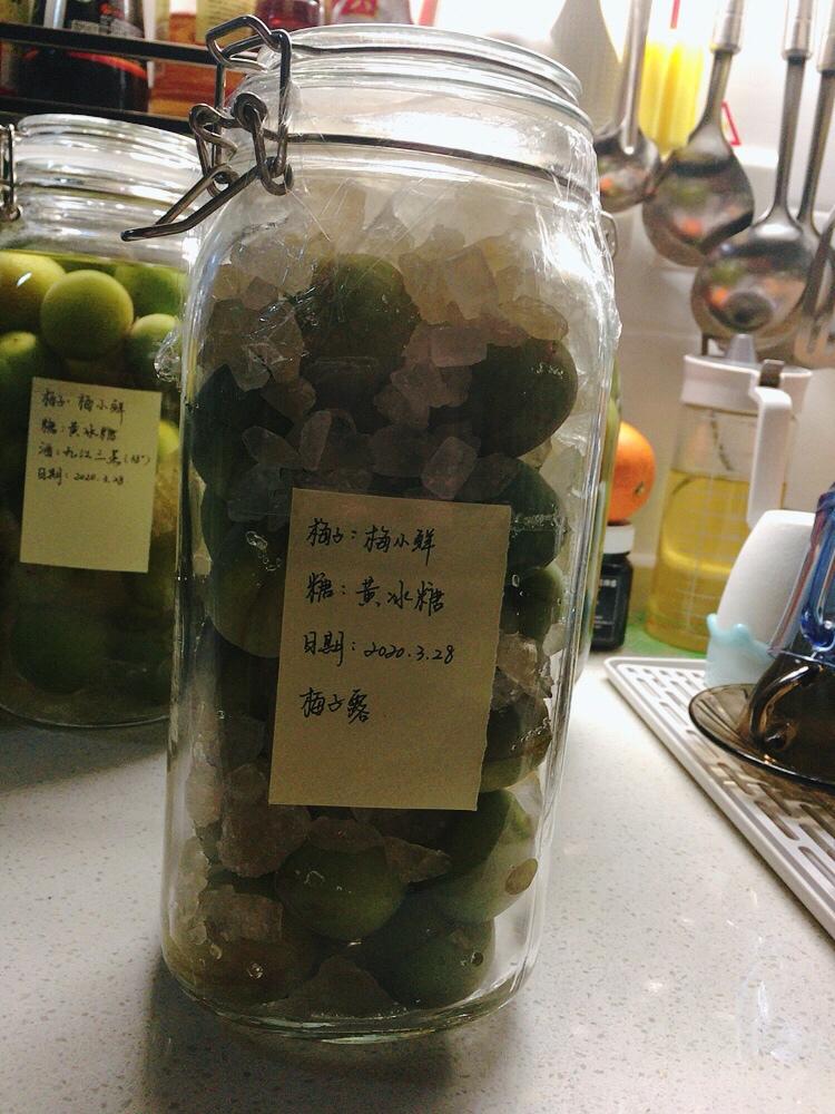 【梅子露 & 梅子醋】青梅的健康饮料