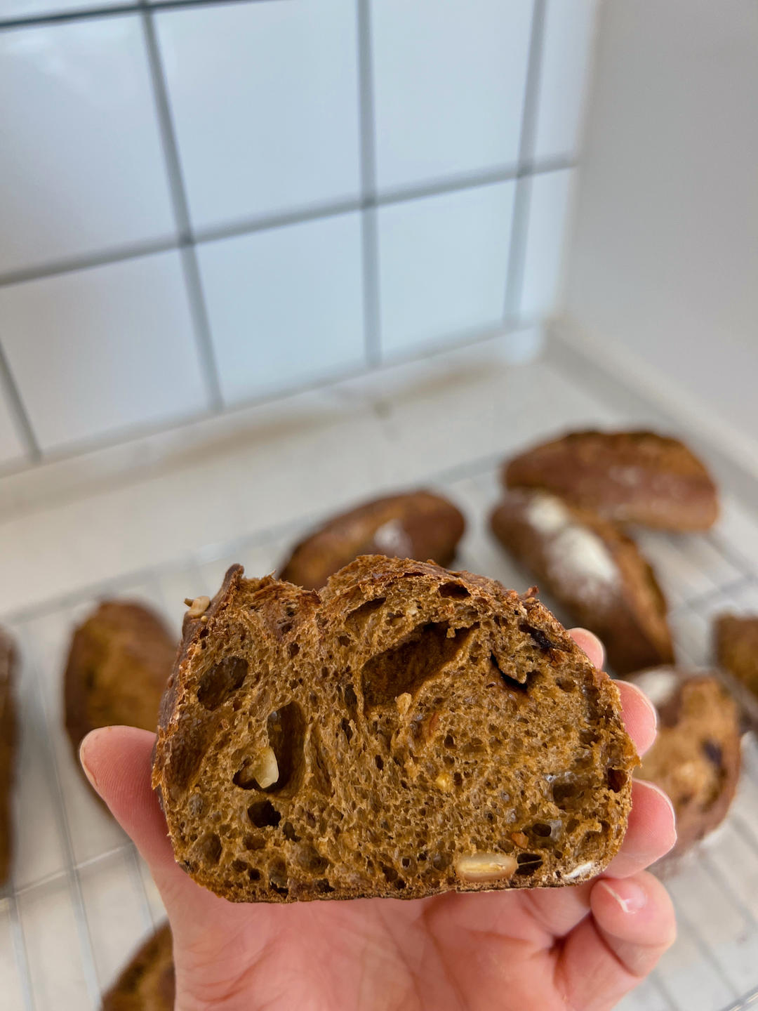 法式乡村面包                      （蔓越莓核桃、培根乳酪）