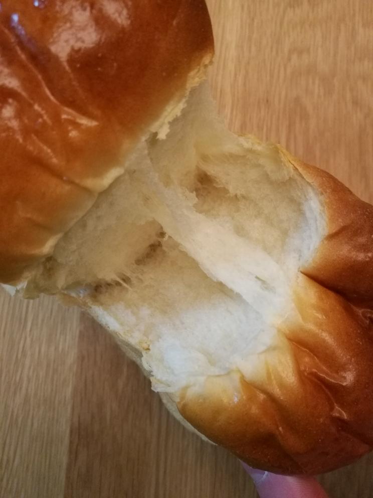 绵绵绵吐司（金大旺）