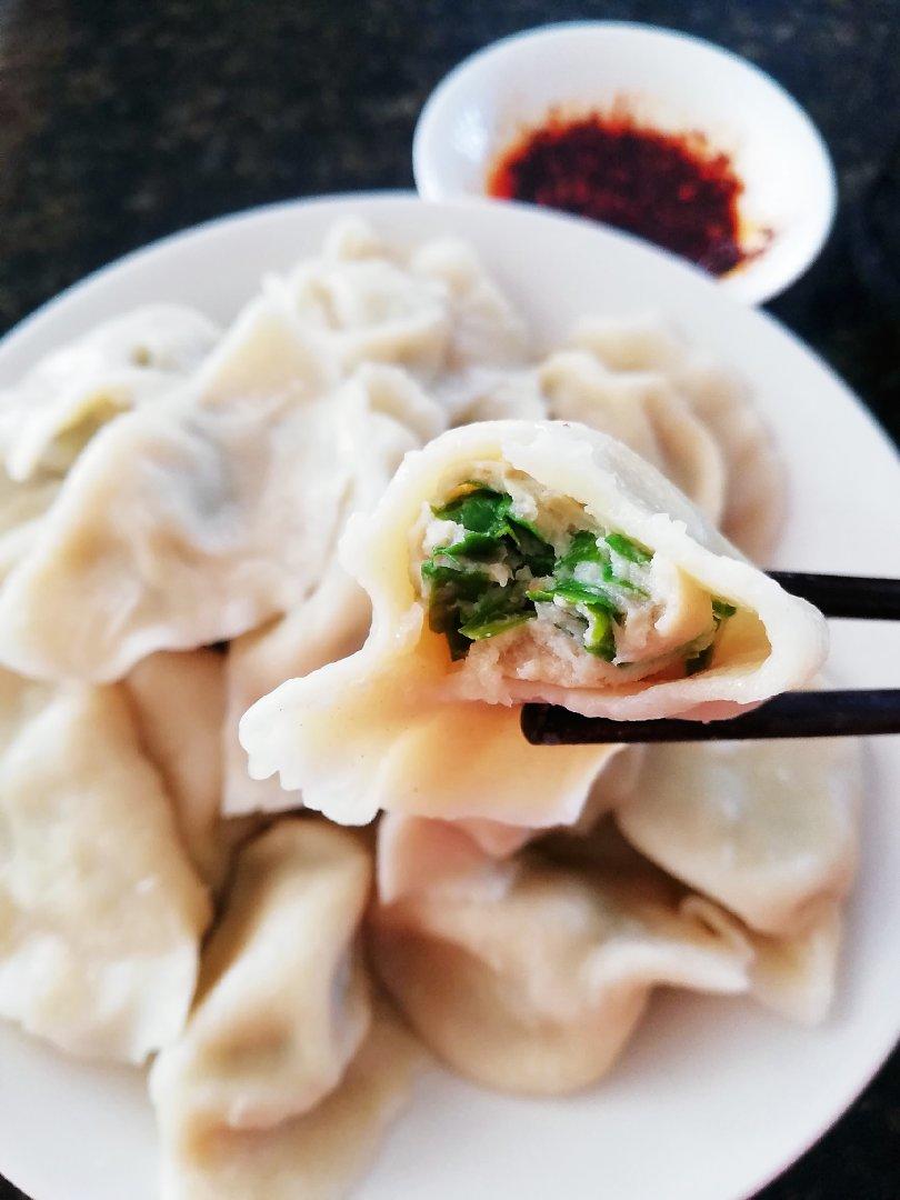 宝贝快长大做的鲅鱼饺子