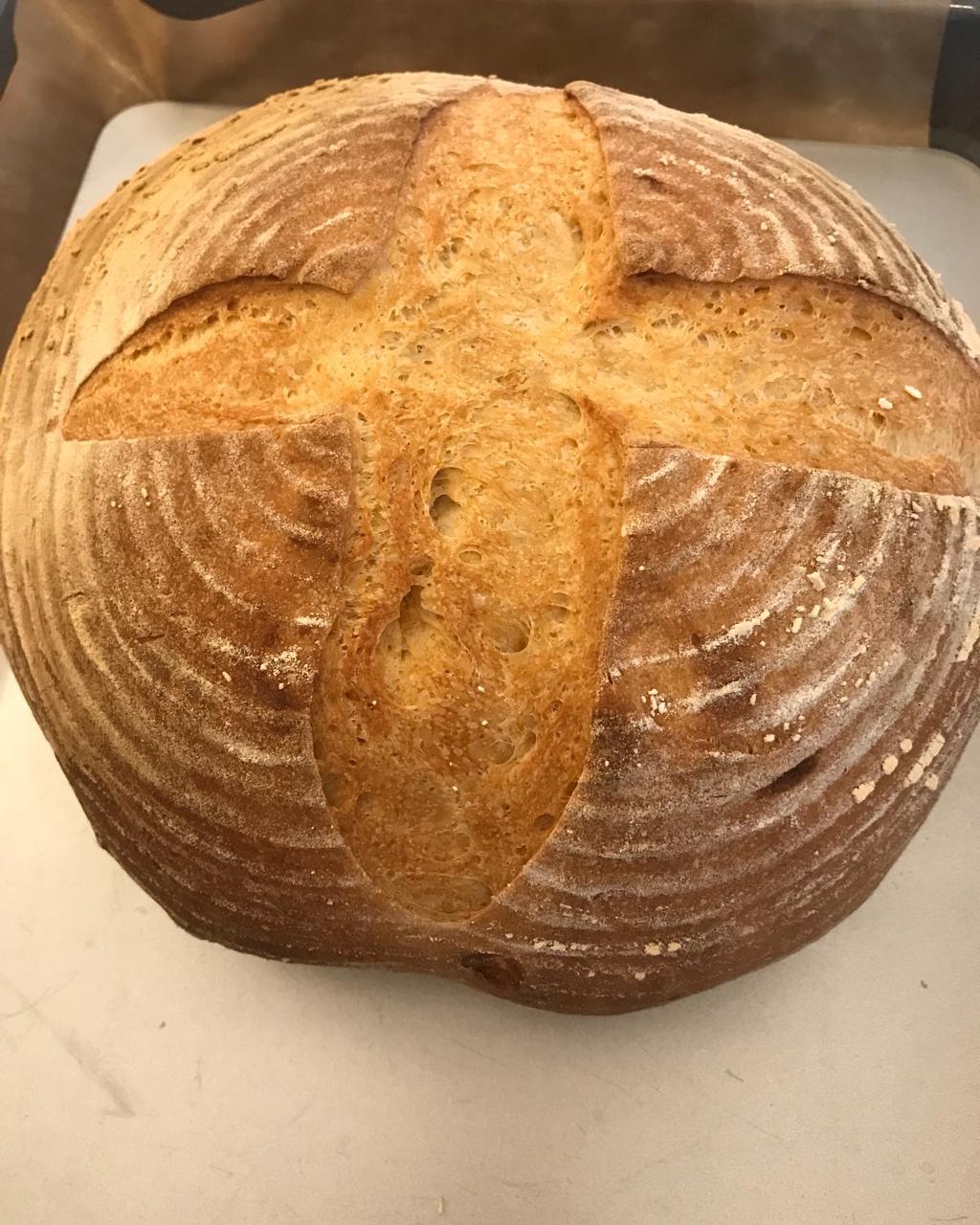 fun-7做的【保罗教你做面包】布鲁姆面包 bloomer