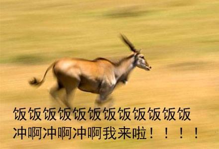 下饭的金针菇羊肉卷