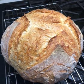 液态酸面团 Liquid Sourdough Starter