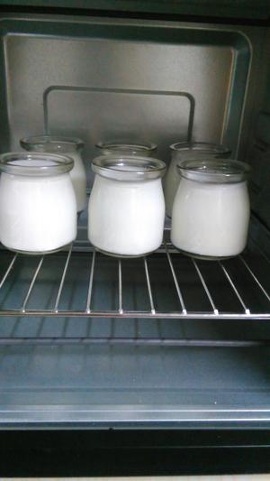 超简单的烤箱版自制酸奶的做法 步骤11