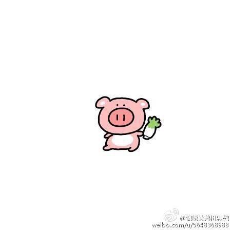 Vicky's food🐰