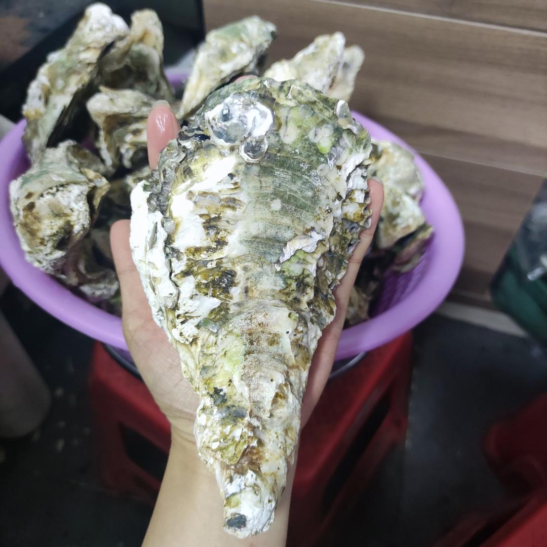 清蒸生蚝（附酱料做法）