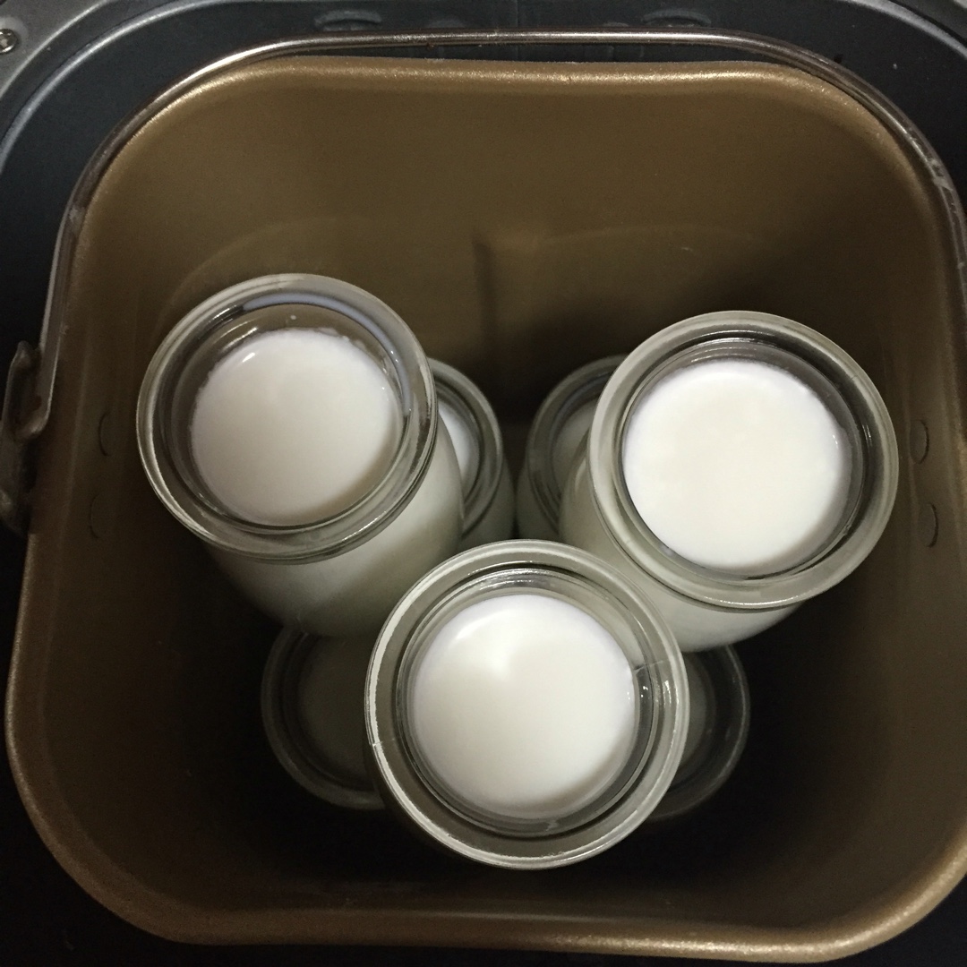 老酸奶（面包机版）