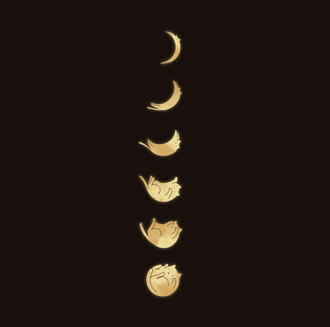 兔咩咩爱晴天