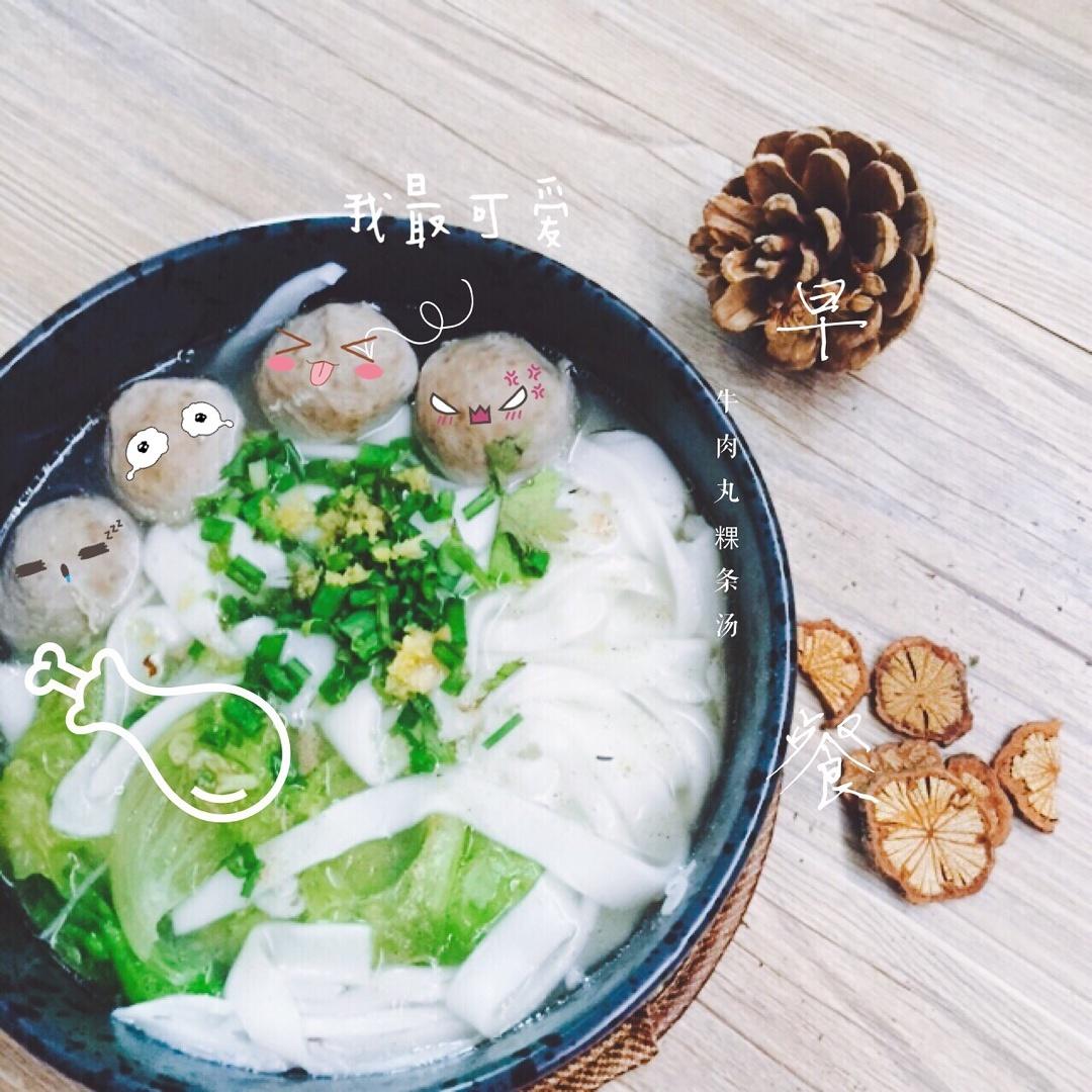 潮汕牛肉丸粿条汤的做法步骤图 怎么做好吃 来治欣欣的你 下厨房