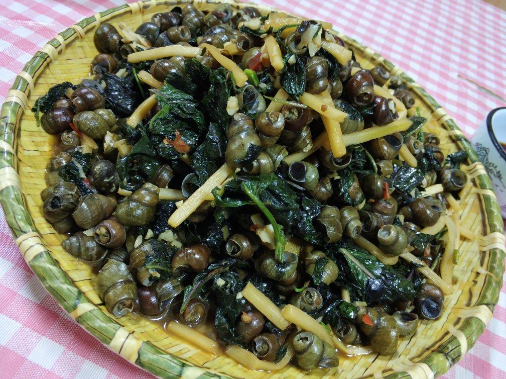 张扬做的舌尖上的广东味紫苏炒螺