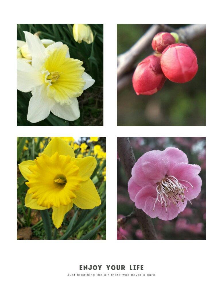 芳华
