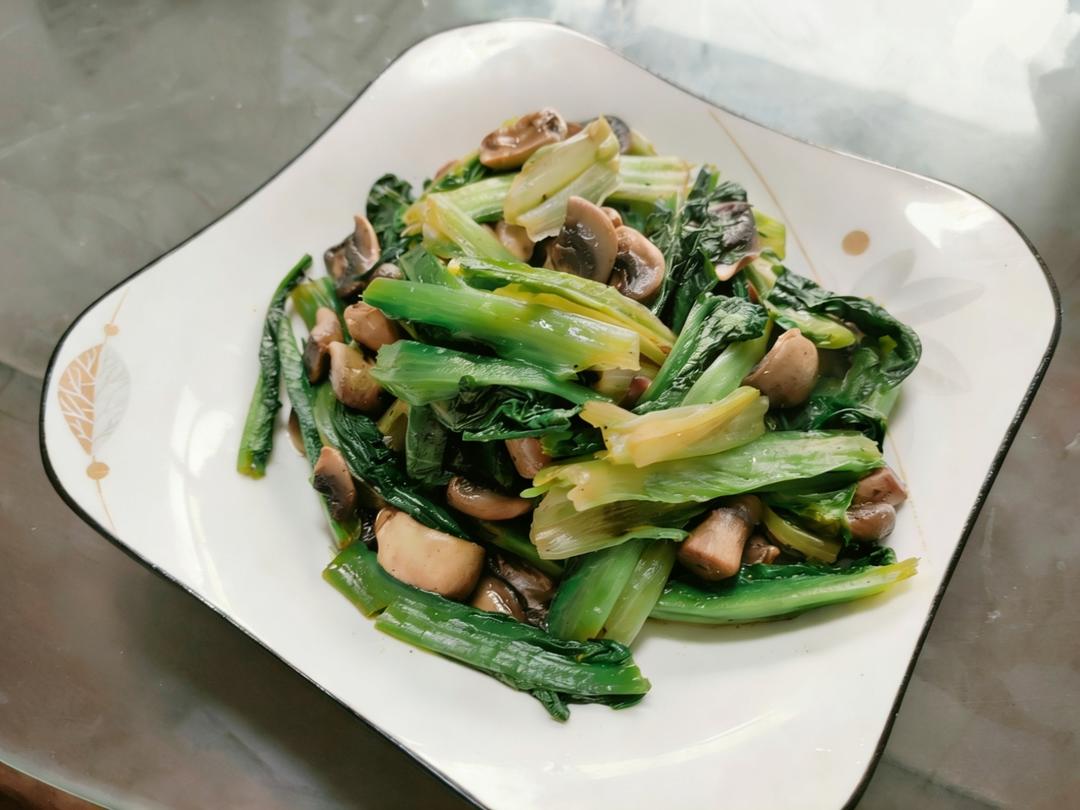 超级油润鲜甜的白蘑油麦菜！
