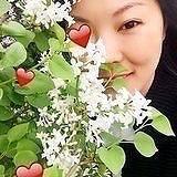 花为雨狂