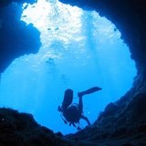 小叶子风吹麦浪