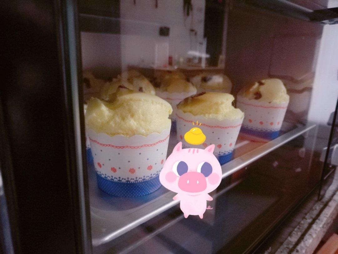 北海道纸杯蛋糕|不爆面不塌腰不皱皮