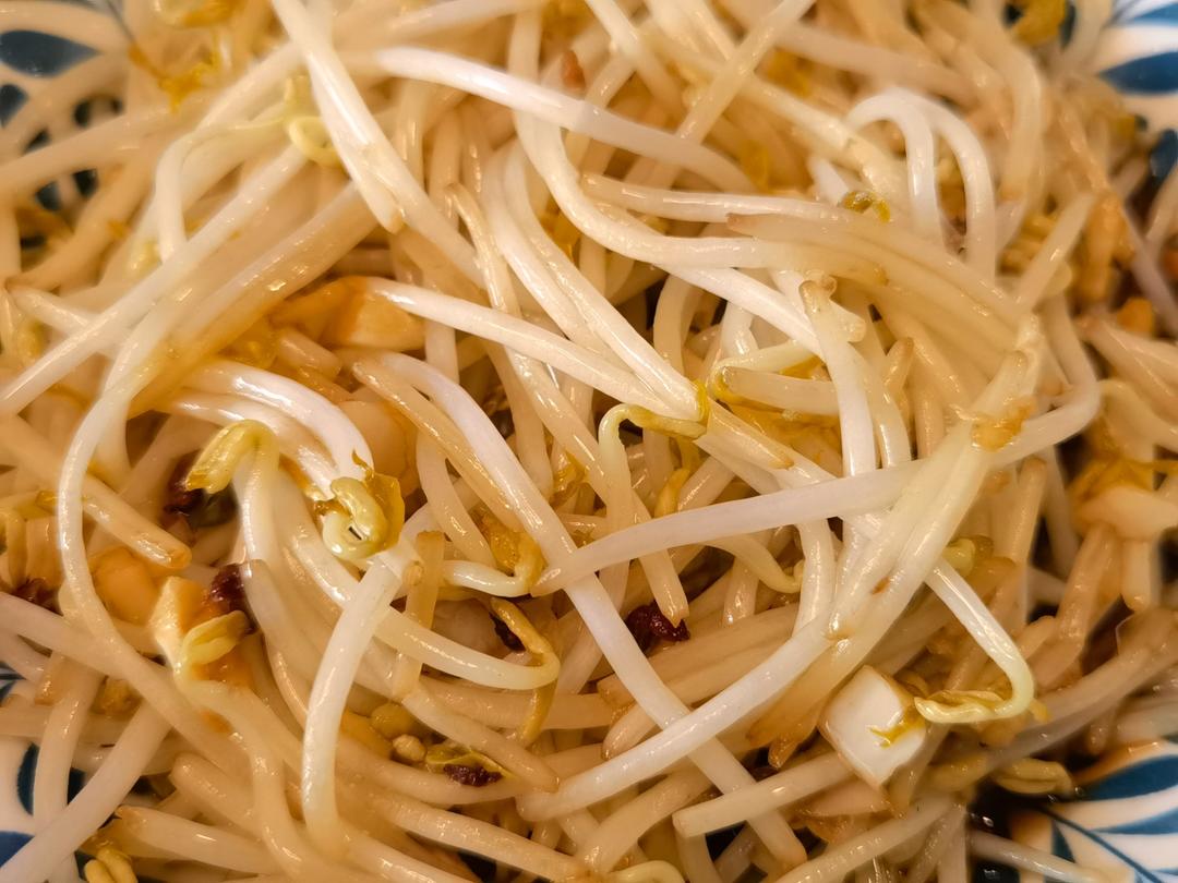 炝炒豆芽菜