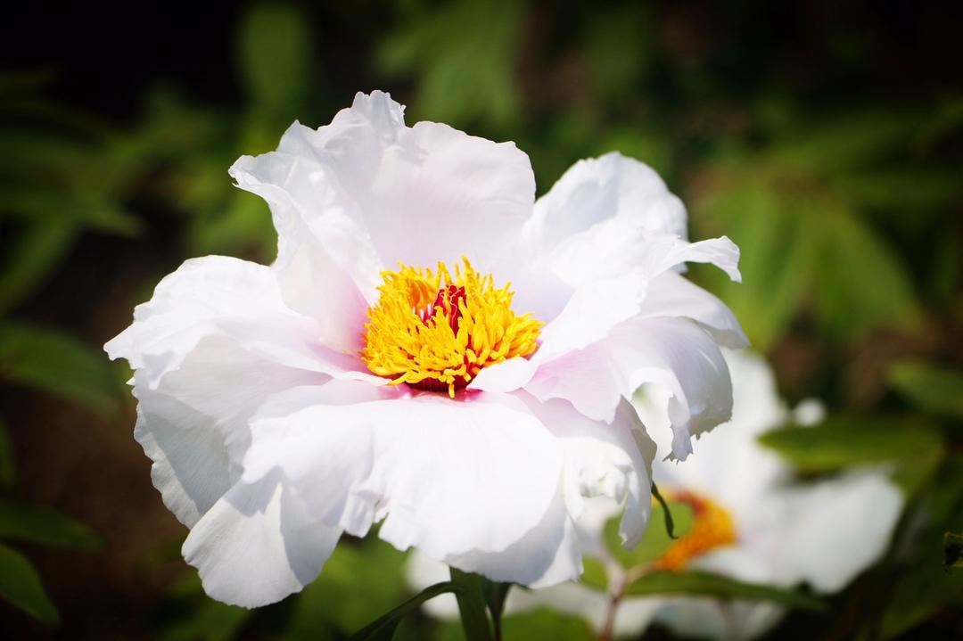 早餐•2019年4月8日