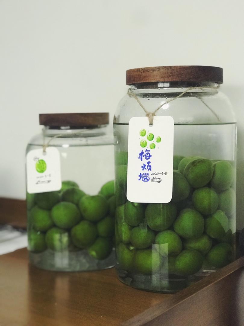 【青梅酒】梅子的沉醉时光（已填坑）