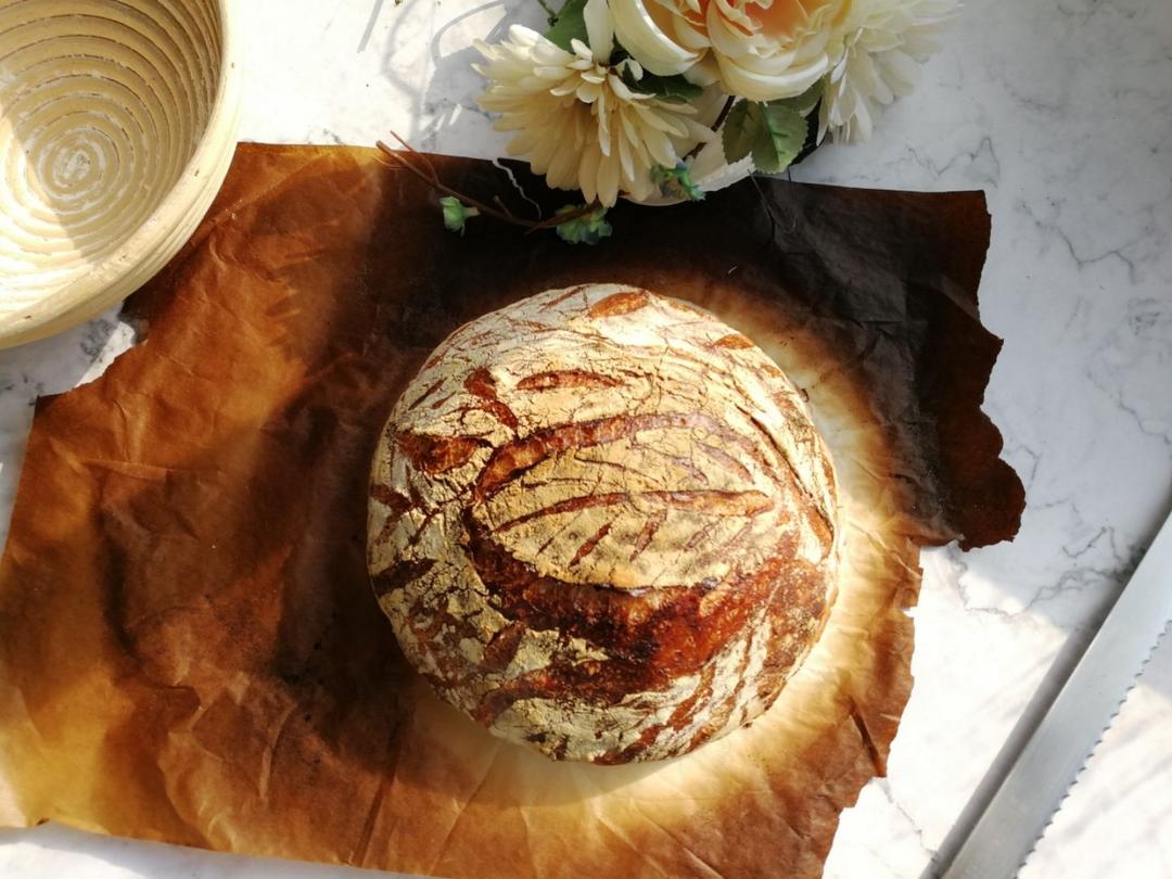 视频教程 天然酵种欧包 基础配方＆制作流程