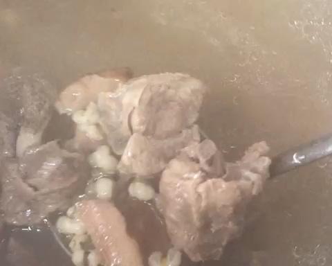 广东靓汤-周末靓汤-薏米鲜土获灵-利水消肿袪湿的做法