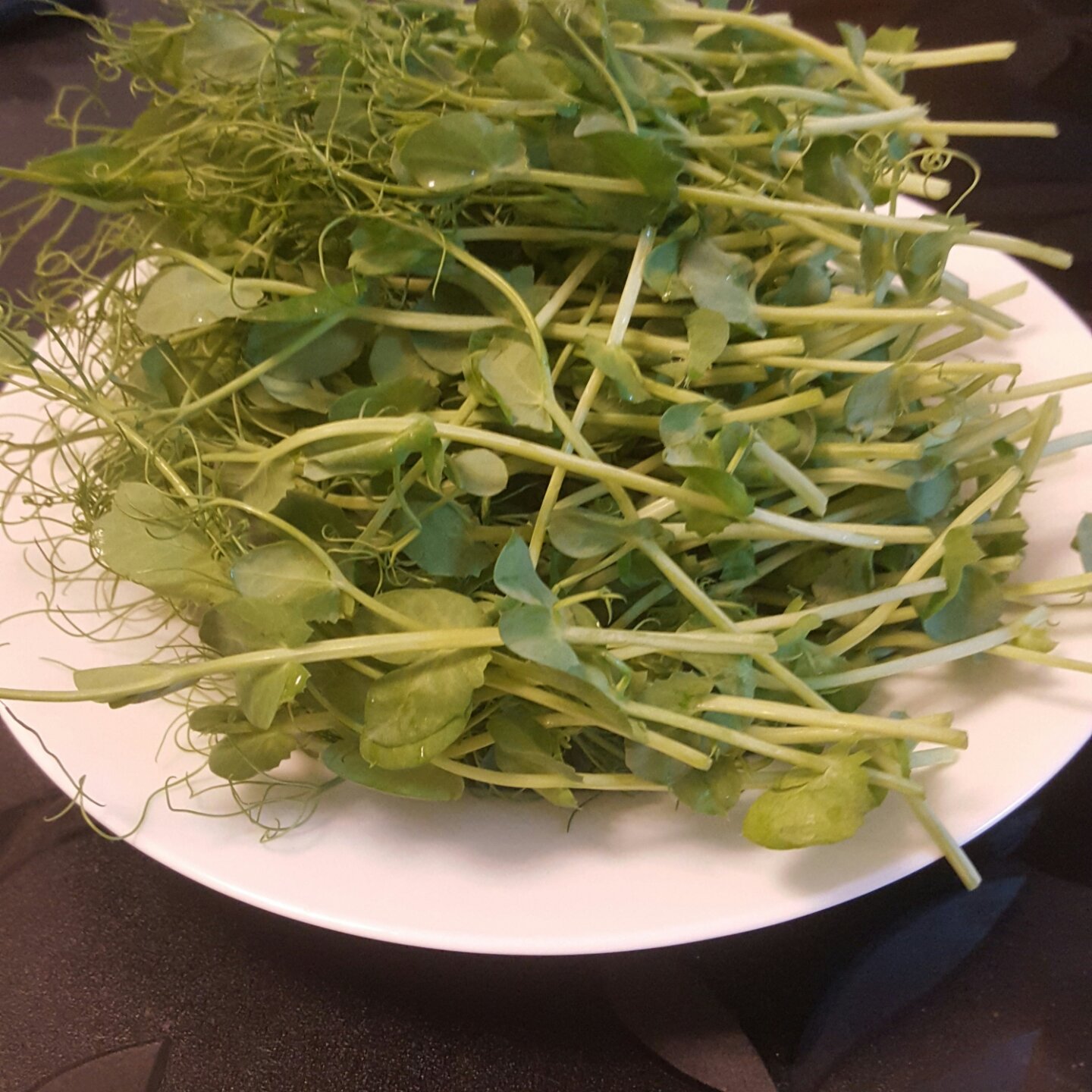 爱吃的人没心眼