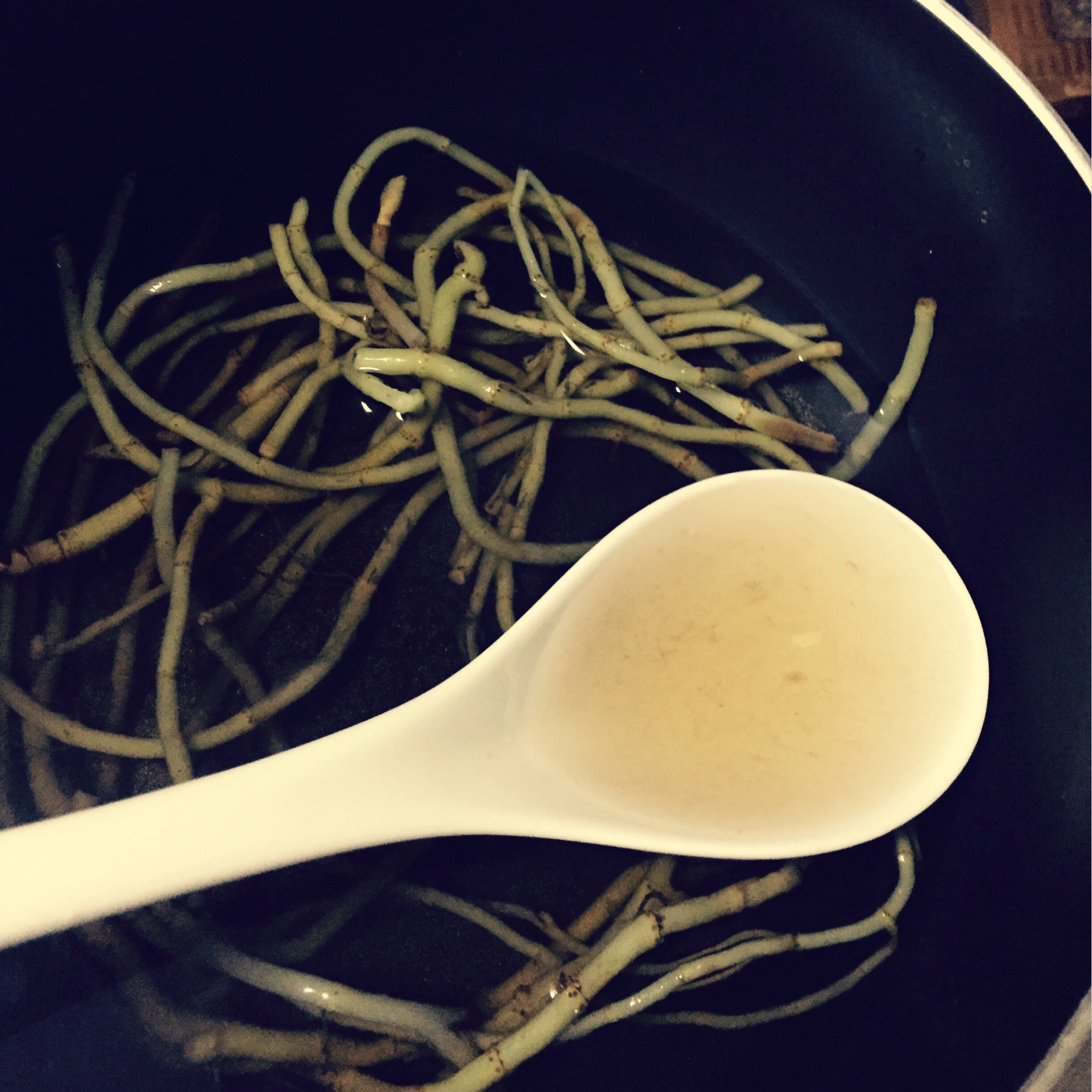 鱼腥草煮水