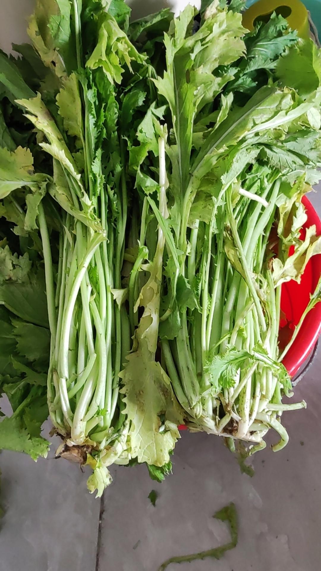 腌梅菜干
