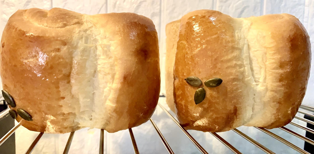 比棉花还柔软的中种北海道吐司