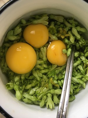 夜来香与蛋的做法步骤图 夜来香与蛋怎么做好吃 Holylily 下厨房 夜来香与蛋的做法步骤图 夜来香与蛋怎么做好吃 Holylily 下厨房