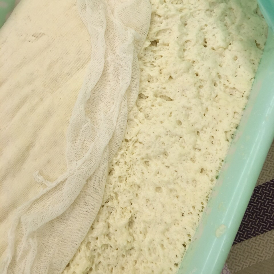 堂妈小厨——发面