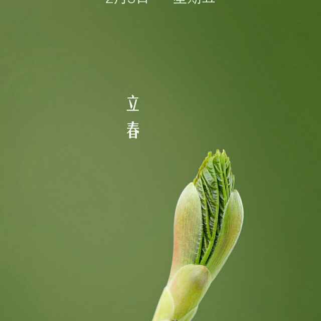我就是我孩儿妈