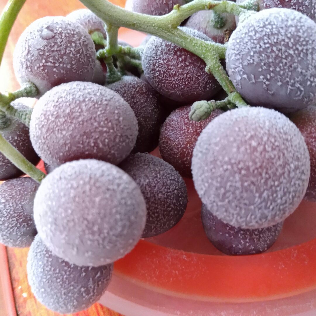 豆子先生5做的冰冻葡萄