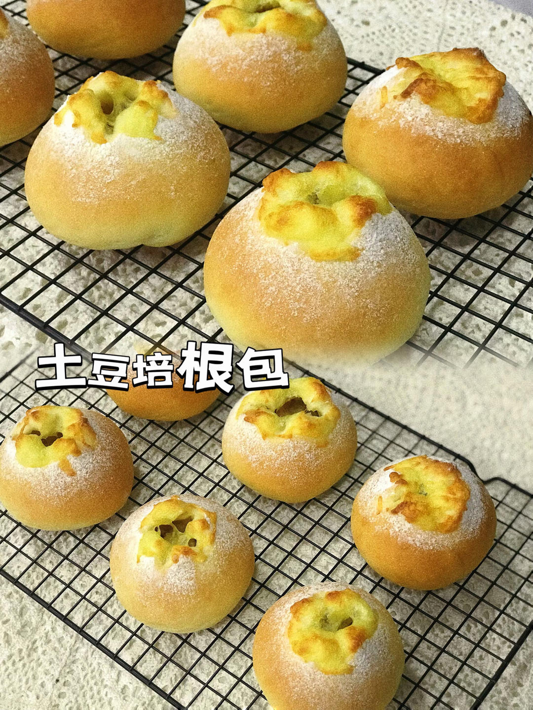 小z的各种面包记录