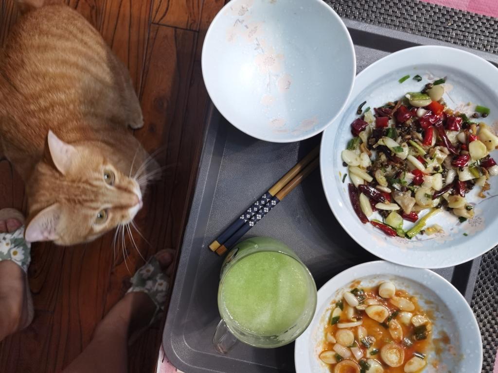 猫都馋哭了的山城辣子鸡