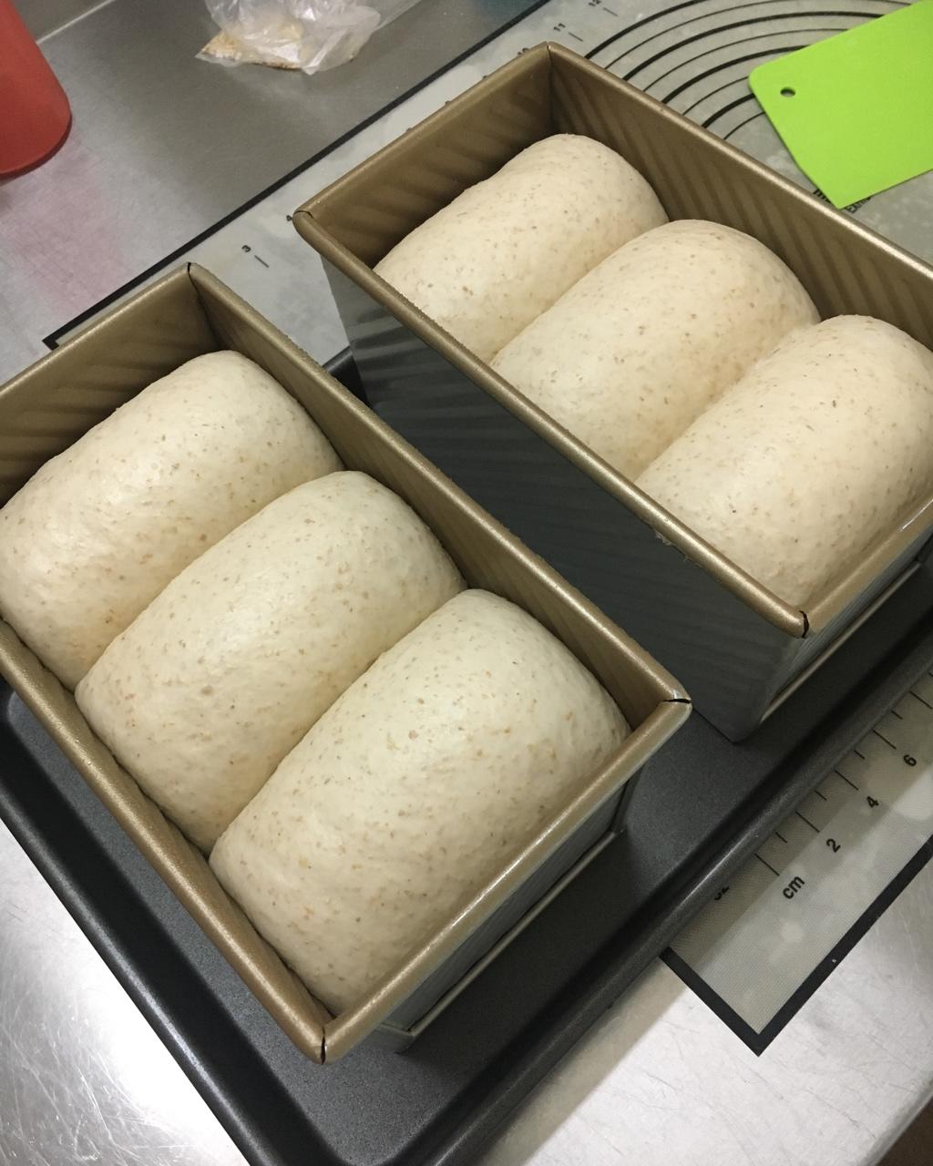 我的100个吐司练习