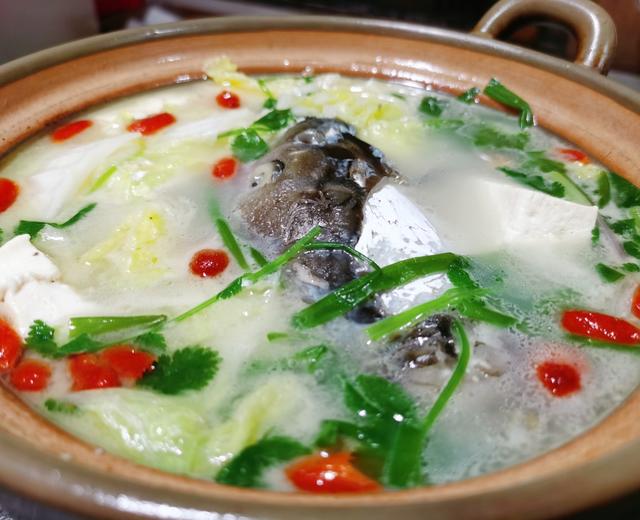 每日一道家常菜-砂锅鱼头豆腐汤