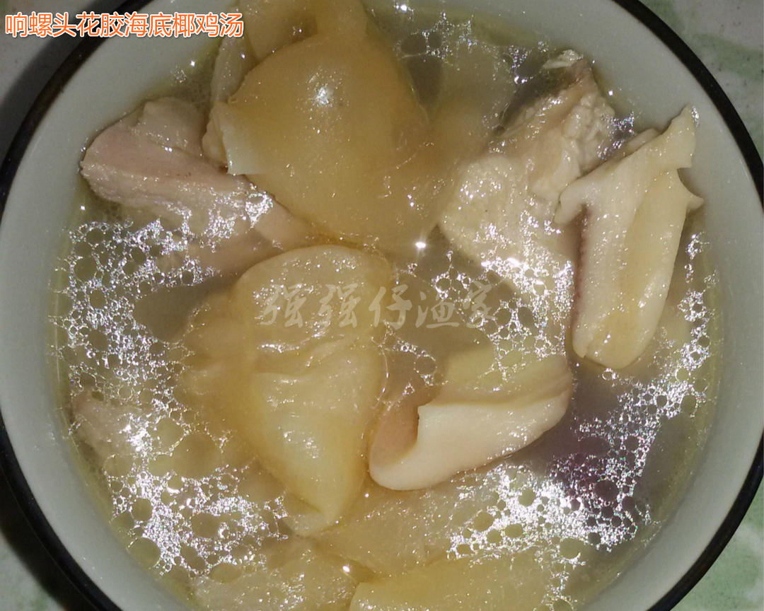 响螺头花胶海底椰鸡汤