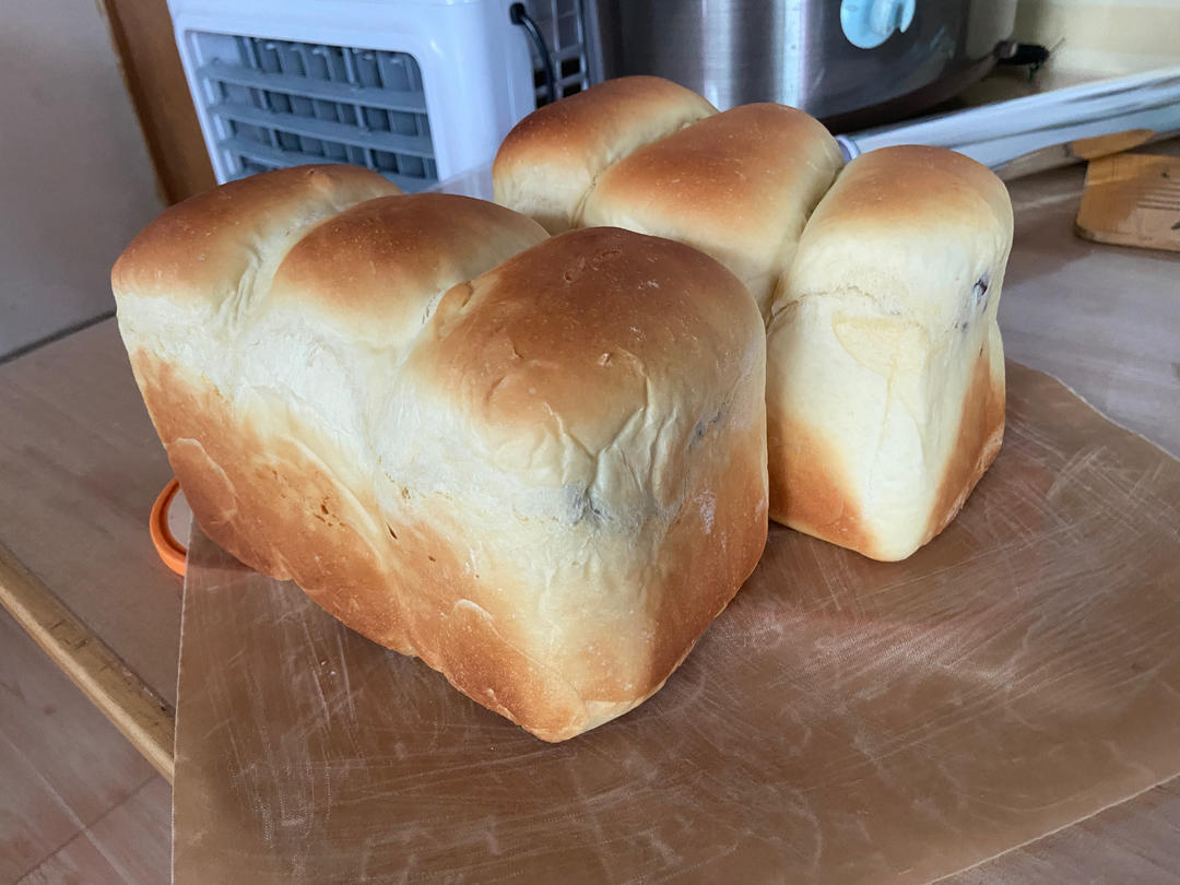 又香又白又温柔--蛋奶吐司