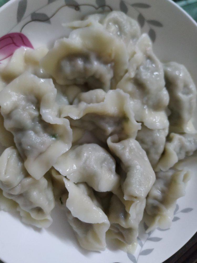 茴香肉水饺