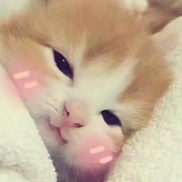 做毒苹果的巫婆